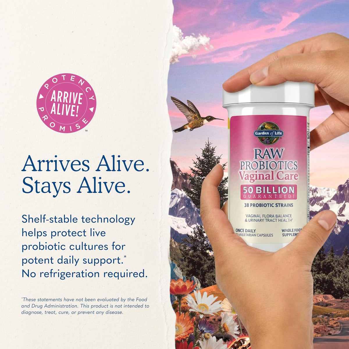 Garden of Life Raw Probiotics Vaginal Care, 50 Billion CFU, Shelf Stable