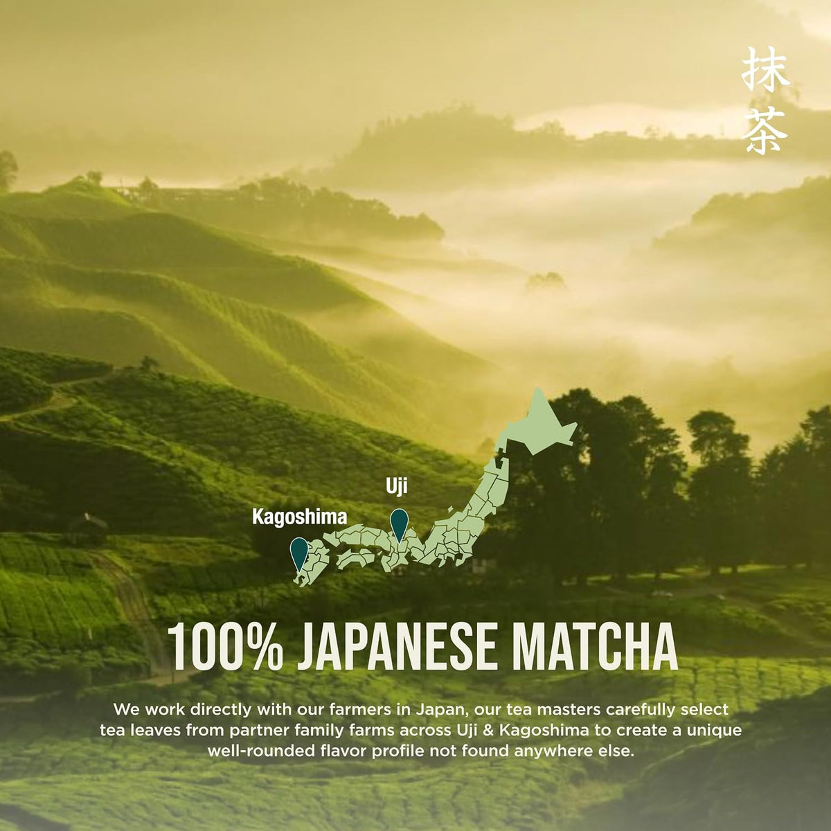 Jade Leaf Matcha Powder, Ceremonial Grade Matcha Powder, 454g / 16oz