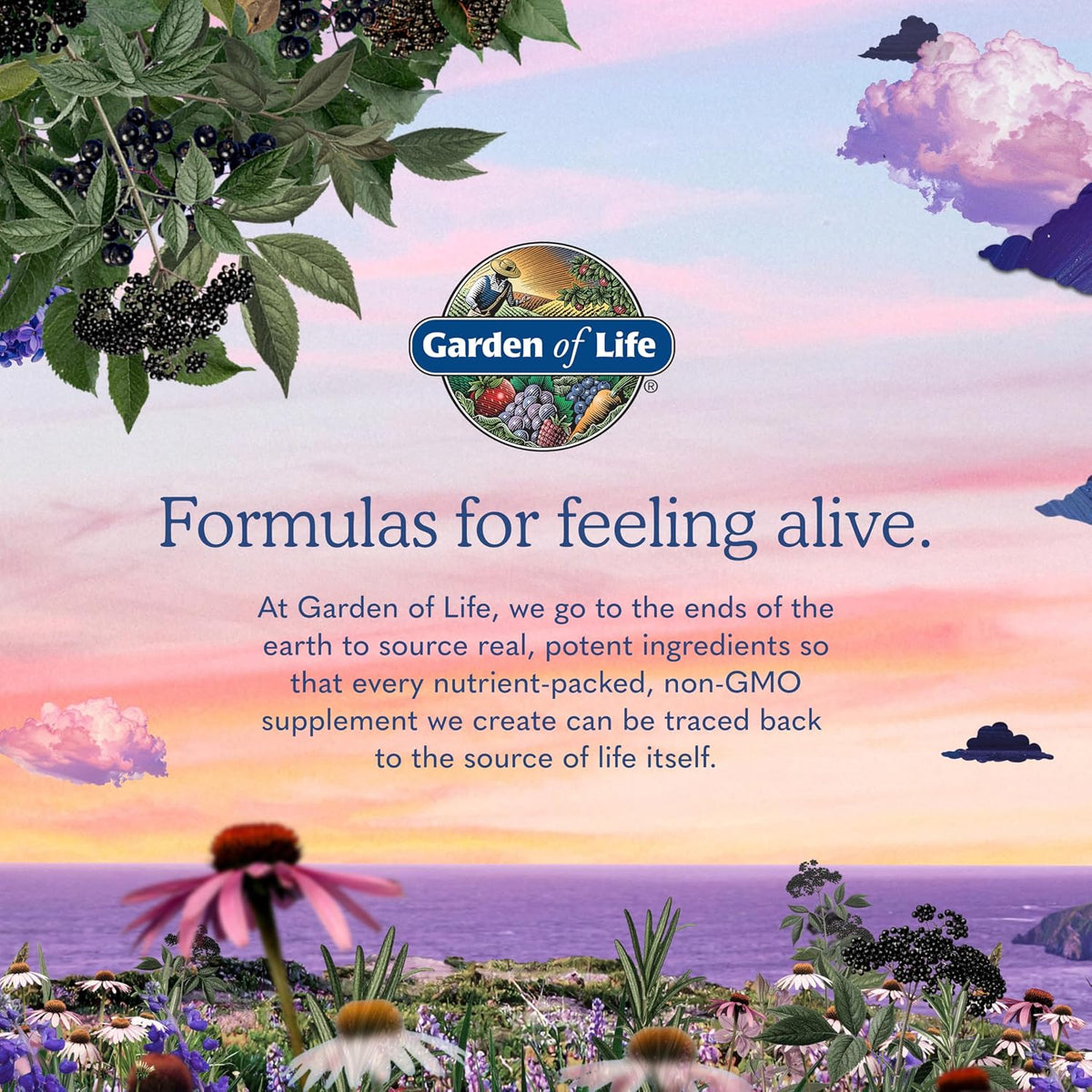 Garden of Life Raw Probiotics Vaginal Care, 50 Billion CFU, Shelf Stable